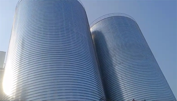 肃南2座混凝土高架卷板仓